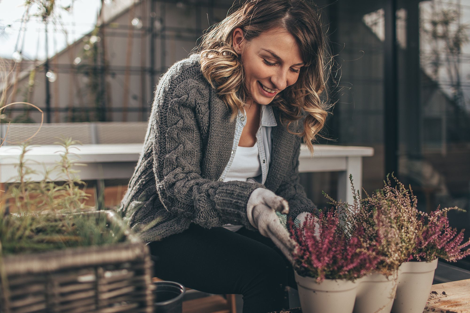 fall planting