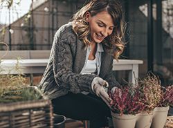 fall planting