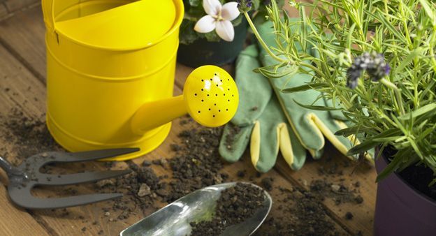 gardening-supplies